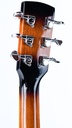 Gold Tone Beard Resonator 2025-5.jpg