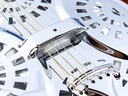 Gold Tone Beard Resonator 2025-10.jpg
