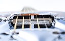 Gold Tone Beard Resonator 2025-11.jpg