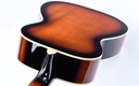 Gold Tone Beard Resonator 2025-9.jpg