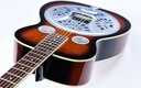 Gold Tone Beard Resonator 2025-8.jpg