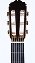 Masaru Kono Professional 1983-5.jpg