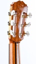 Masaru Kono Professional 1983-6.jpg