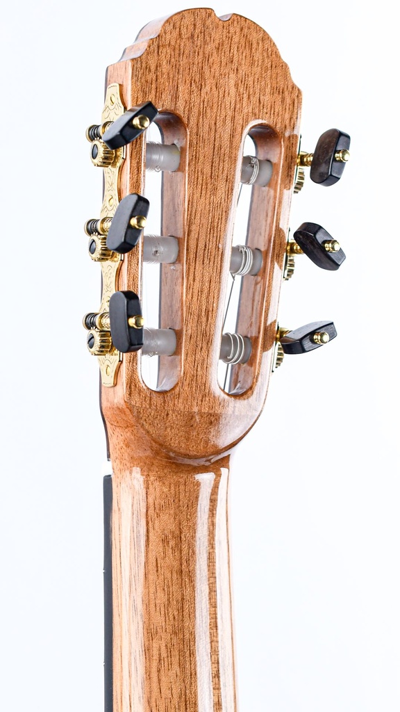 Mach Concert Standard Spruce Rosewood-6.jpg