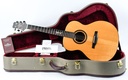 [A141324] PRS Private Stock Tonare Grand 25th Ann The Tree 2014-1.jpg