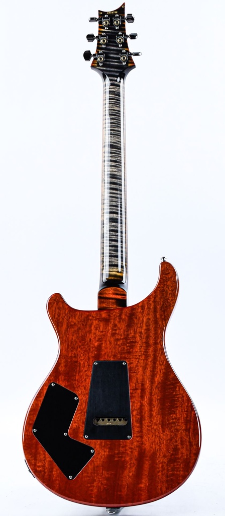 PRS Wood Library Modern Eagle V Burnt Maple Leaf 2024-7.jpg