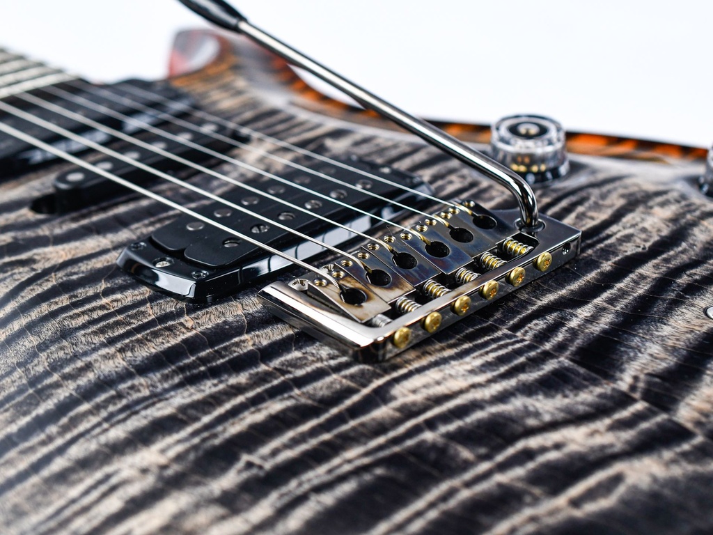 PRS Wood Library Modern Eagle V Burnt Maple Leaf 2024-10.jpg