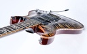 PRS Wood Library Modern Eagle V Burnt Maple Leaf 2024-8.jpg
