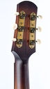 [IS27159] Iris DF Sunburst Relic-5.jpg