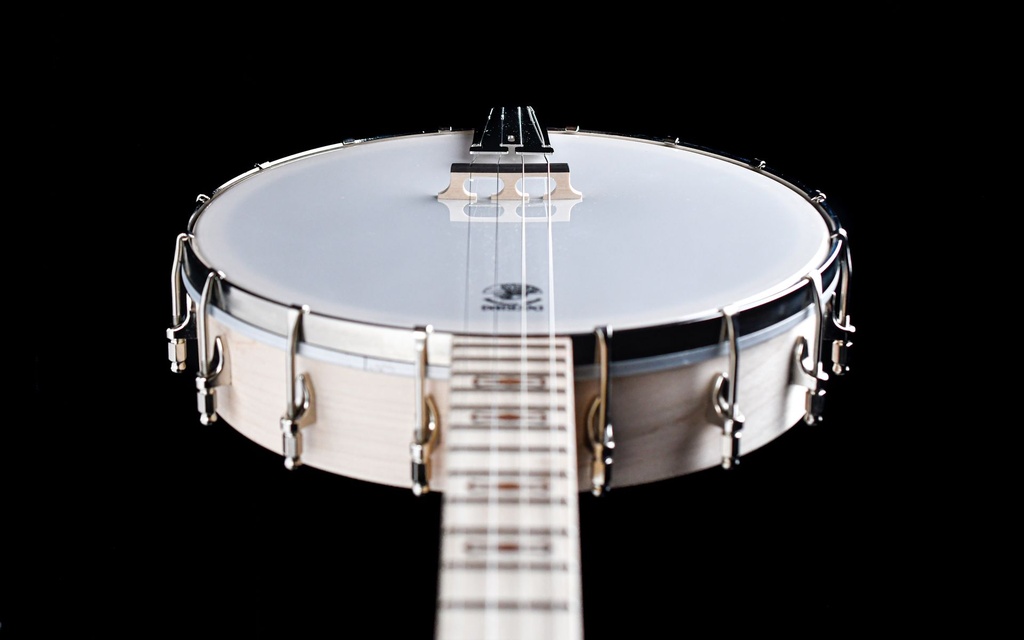 Deering Goodtime 19-Fret Tenor Banjo-13.jpg