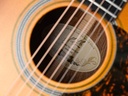 Maton EBG808 Nashville Amber Burst 2024-12.jpg