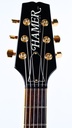 Hamer Sunburst Quilted Maple Top 1991-4.jpg
