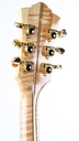 Guild X500T Natural 2000-5.jpg