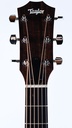 Taylor 24ce-4.jpg