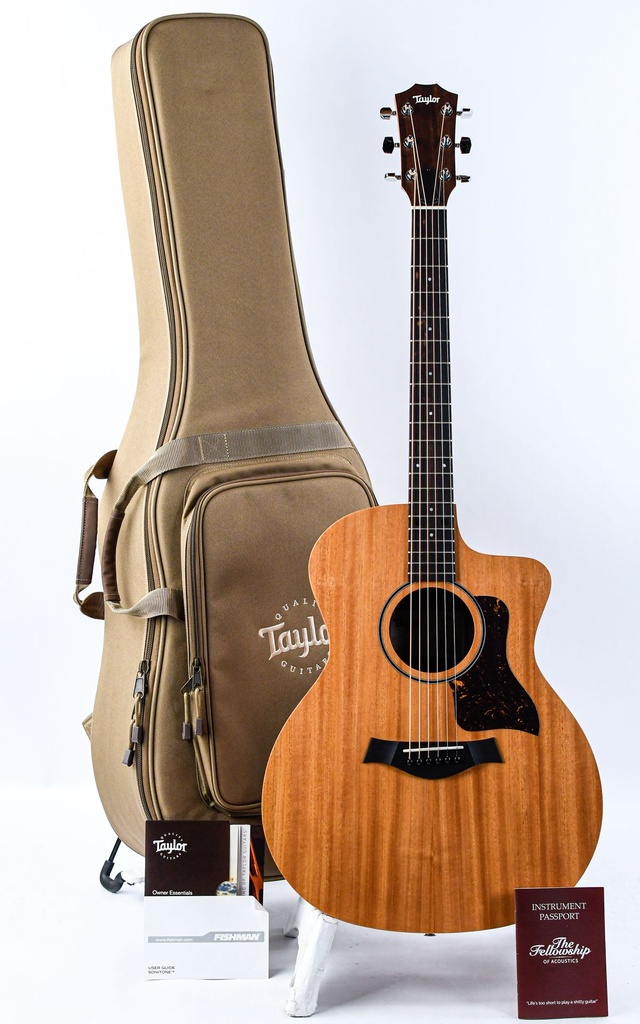 Taylor 24ce-1.jpg