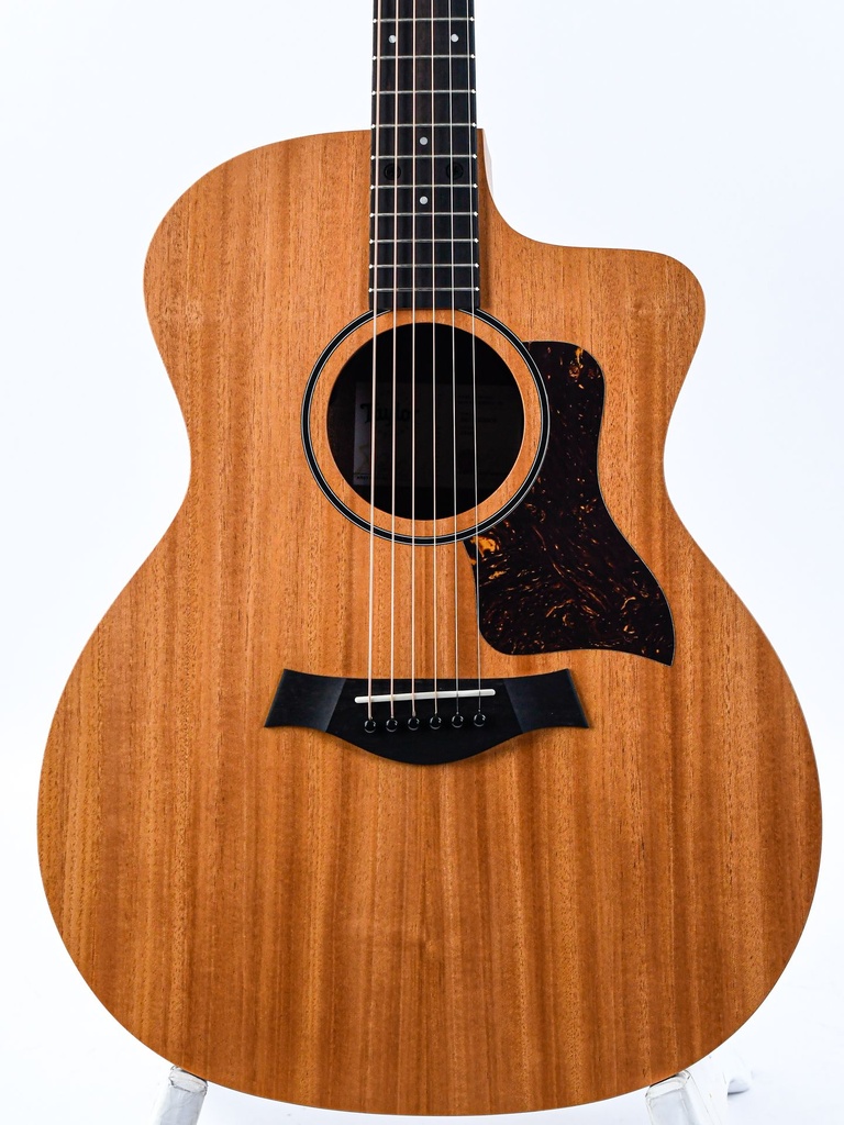 Taylor 24ce-3.jpg