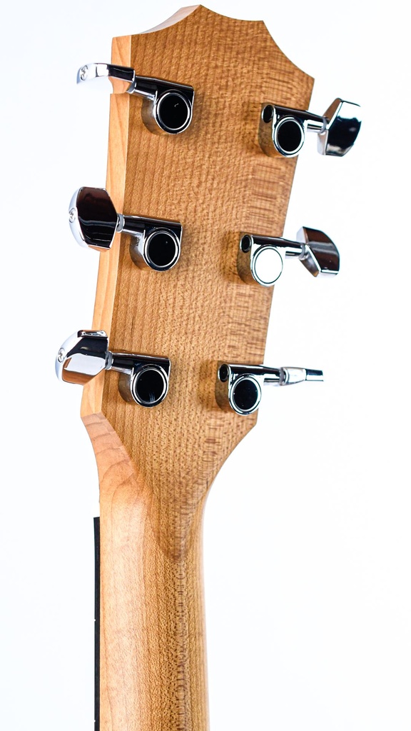 Taylor 24ce-5.jpg