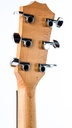 Taylor 24ce-5.jpg