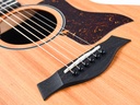 Taylor 24ce-10.jpg