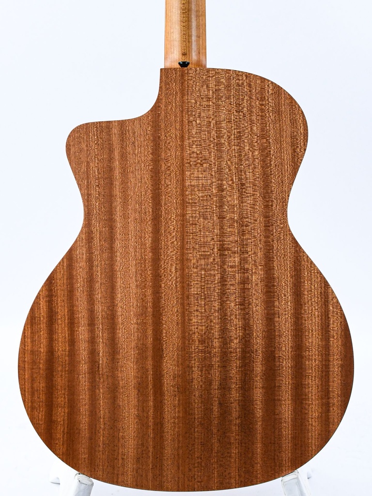 Taylor 24ce-6.jpg