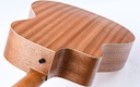 Taylor 24ce-9.jpg