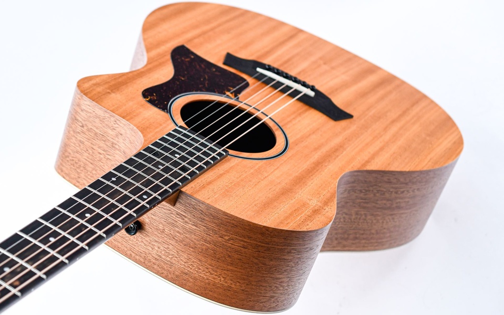 Taylor 24ce-8.jpg