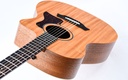 Taylor 24ce-8.jpg