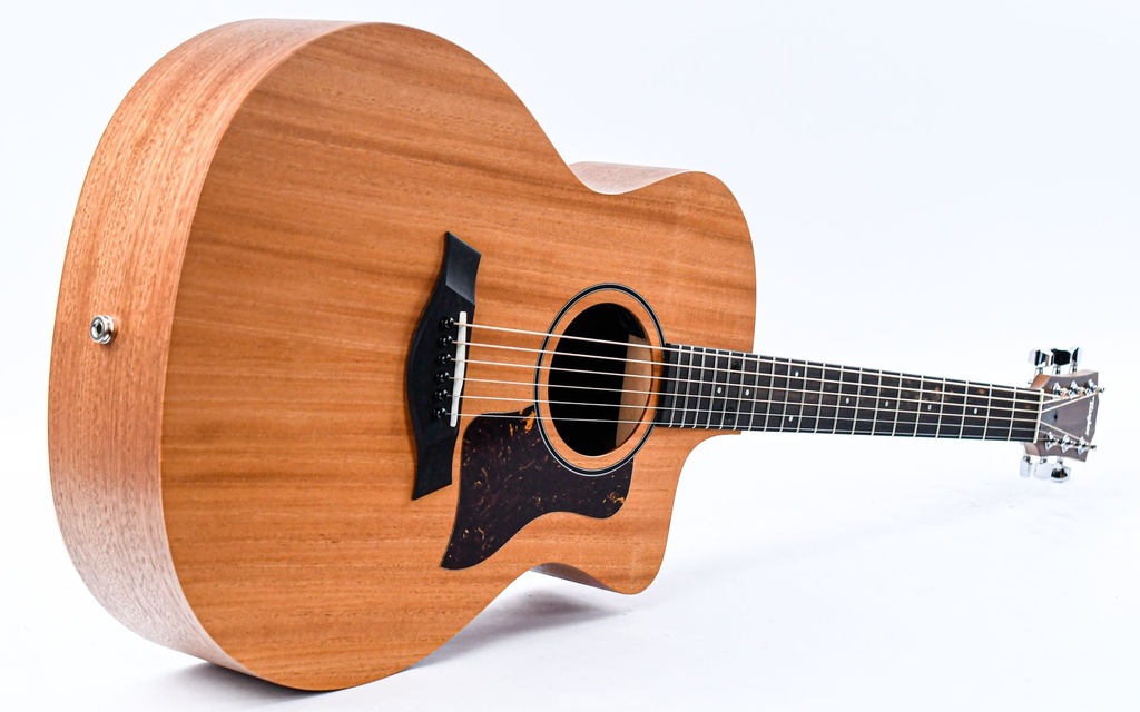 Taylor 24ce-11.jpg