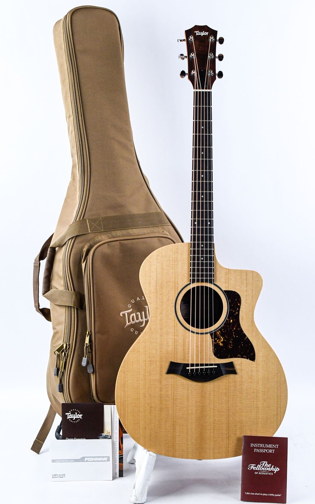 Taylor 14ce-1.jpg