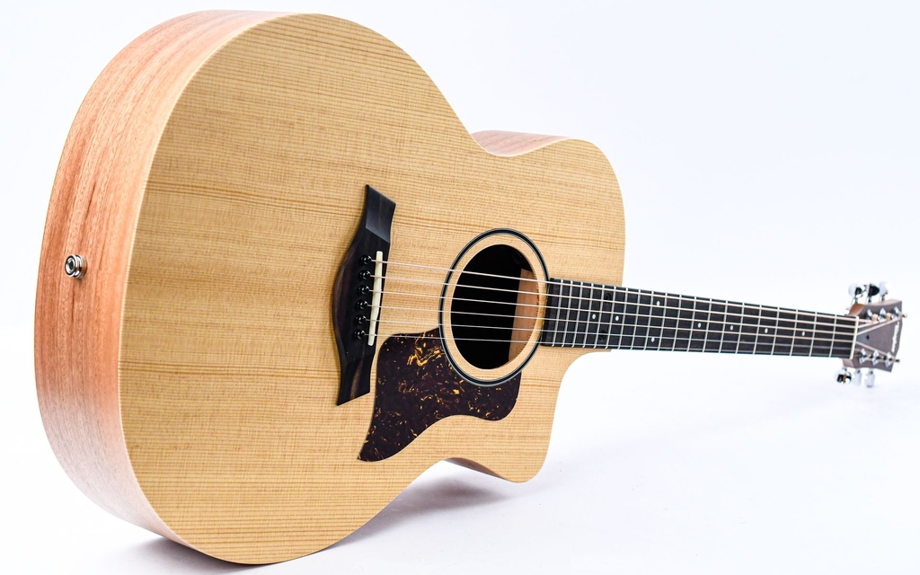 Taylor 14ce-11.jpg