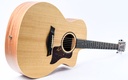 Taylor 14ce-11.jpg