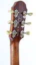 [31375] Patrick James Eggle Macon CT Lemon Burst-6.jpg