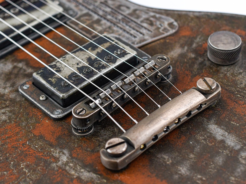 [#11038] James Trussart Steel Deville Rusty 2011-10.jpg