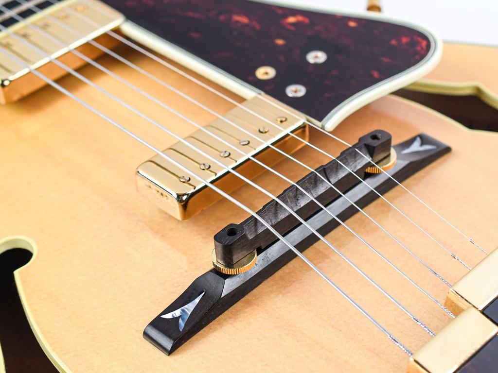 [#A805040] Ibanez George Benson Natural 1980-10.jpg