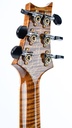 PRS Private Stock Hollowbody II 594 Sandstorm Fade 2022-5.jpg
