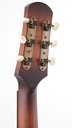Iris DF Sunburst Relic #1361-5.jpg