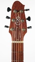 Andy Manson Archtop Quilted Maple Alpine Spruce-4.jpg