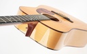 Boucher Spruce Goose Dreadnought All Torrefied AAAAA Adirondack Spruce 2016-8.jpg
