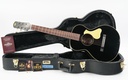 Iris BB Black Adirondack Mahogany-1.jpg