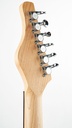 Coral Sitar Guitar 1990s-5.jpg