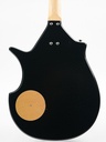 Coral Sitar Guitar 1990s-6.jpg