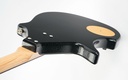 Coral Sitar Guitar 1990s-10.jpg