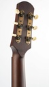 Iris DF Sunburst Relic #1365-5.jpg