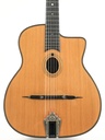 Gitane DG250 M 2011-3.jpg