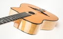 Gitane DG250 M 2011-8.jpg