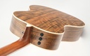 Taylor GA4 Walnut Spruce Lefty 2007-9.jpg