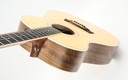 Taylor GA4 Walnut Spruce Lefty 2007-8.jpg