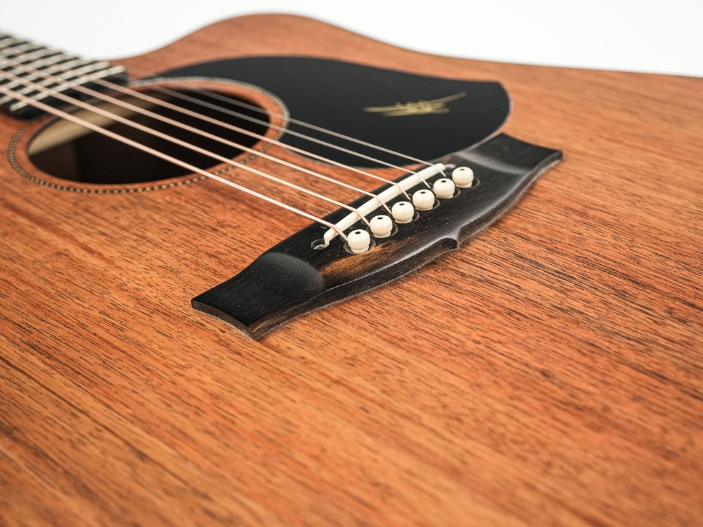 Maton EBW70C 2019-10.jpg