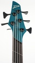 Dingwall Lee Sklar Signature 5-string-4.jpg