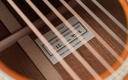 Santa Cruz 12 Fret D Model Adirondack Sunburst 2024-12.jpg